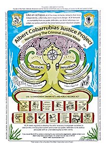 Navigating the Criminal Justice Maze